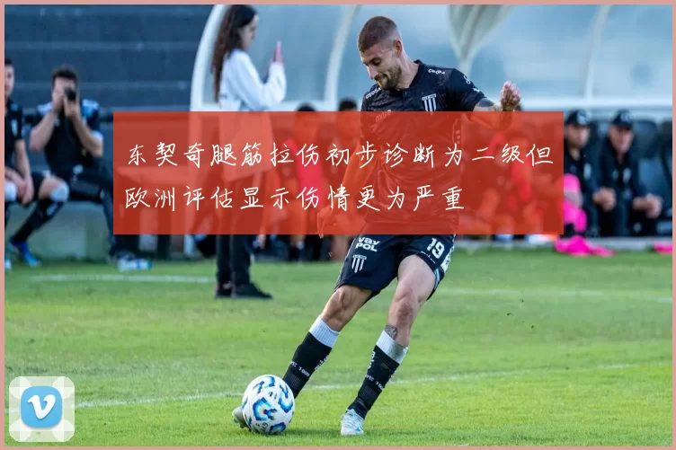 东契奇腿筋拉伤初步诊断为二级但欧洲评估显示伤情更为严重