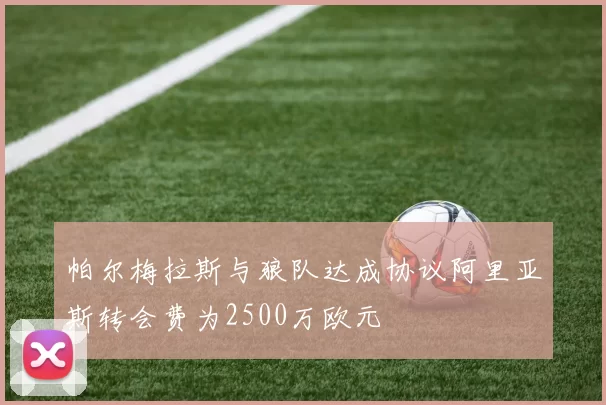 帕尔梅拉斯与狼队达成协议阿里亚斯转会费为2500万欧元